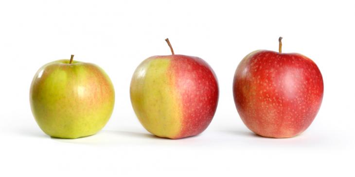 Three apples from green to red